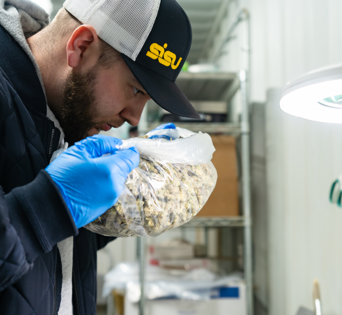 what-we-do-image-03 Cannabis Flower Extracts