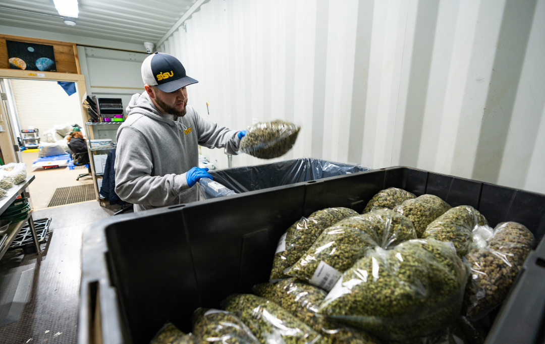 what-we-do-image-05 About SISU Cannabis Extracts